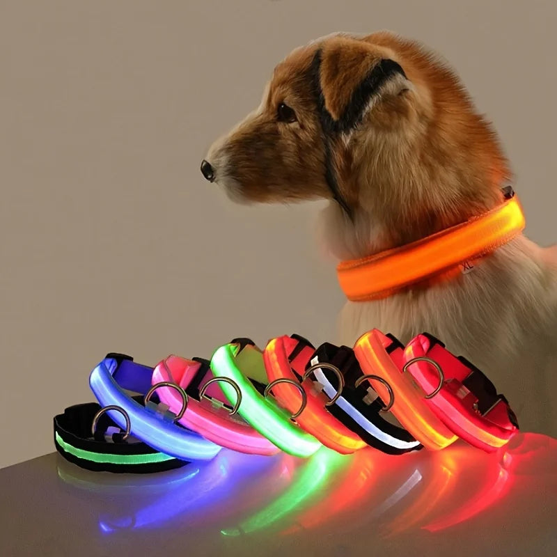 夜の散歩で光るLED首輪 犬用