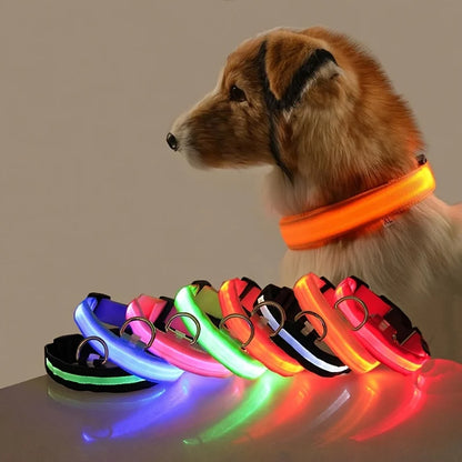 夜の散歩で光るLED首輪 犬用