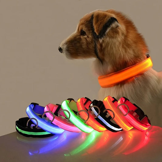 夜の散歩で光るLED首輪 犬用